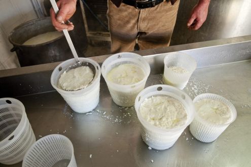 Degustazione Ricotta Agriturismo Borgo Deodato